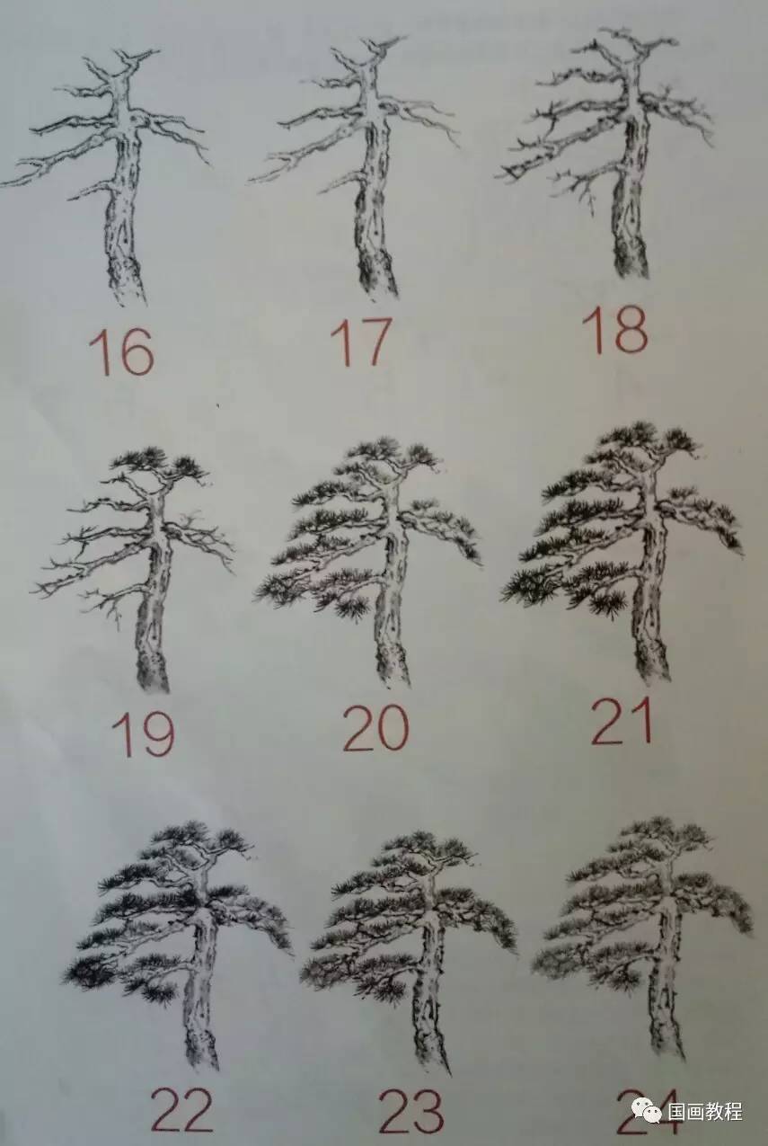 判定树的画法及规则图片