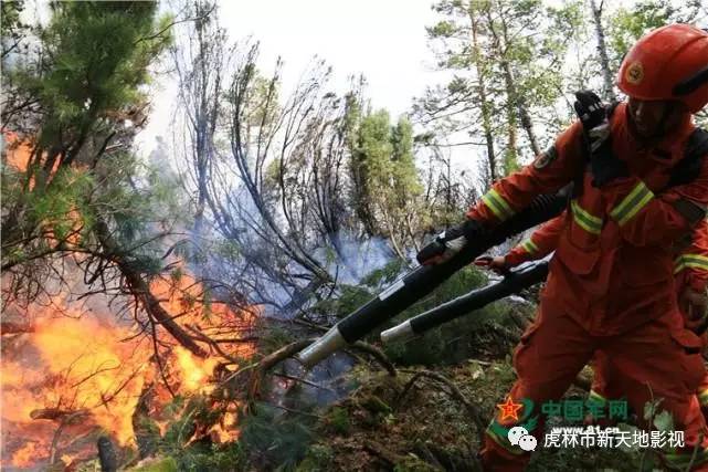 大興安嶺森林火災 千餘武警森林官兵奮力撲救