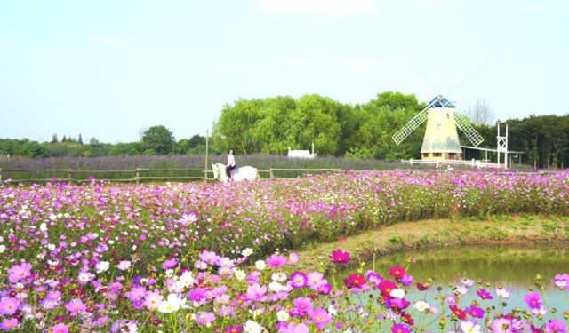 【休闲农业示范村】常州市天宁区郑陆镇牟家村