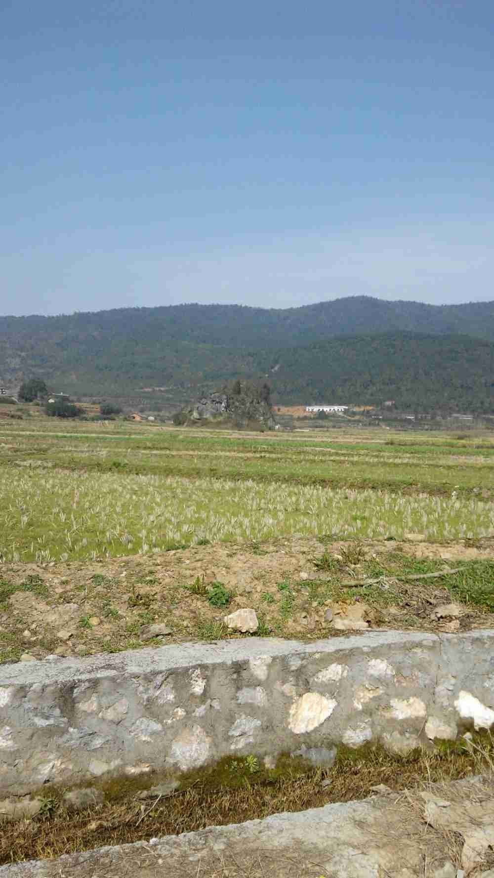 东莞市黄江镇田心村图片