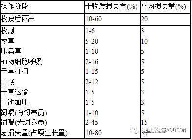 紫花苜蓿营养价值表图片