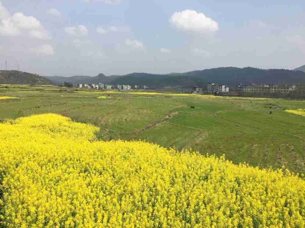 最美家乡田心镇之江南村