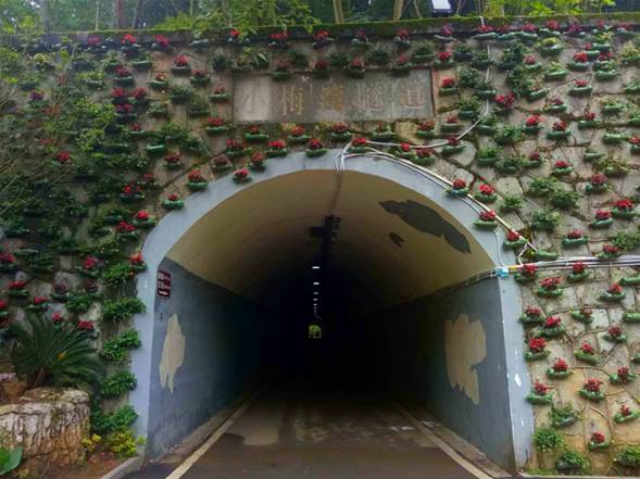 三岭湾步行隧道多长图片