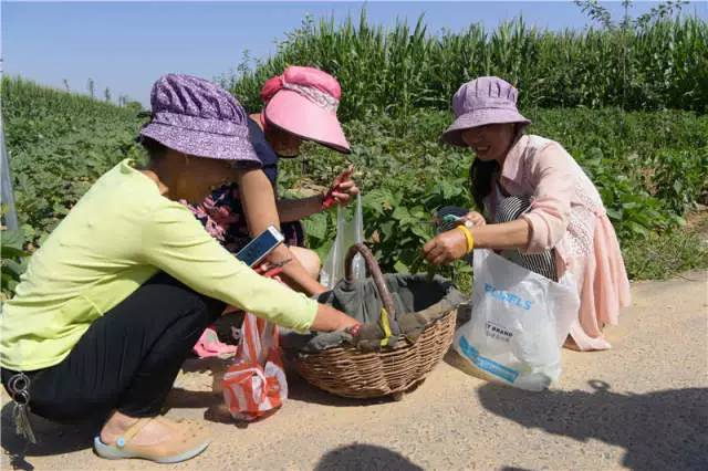 旬邑李虎群简介图片