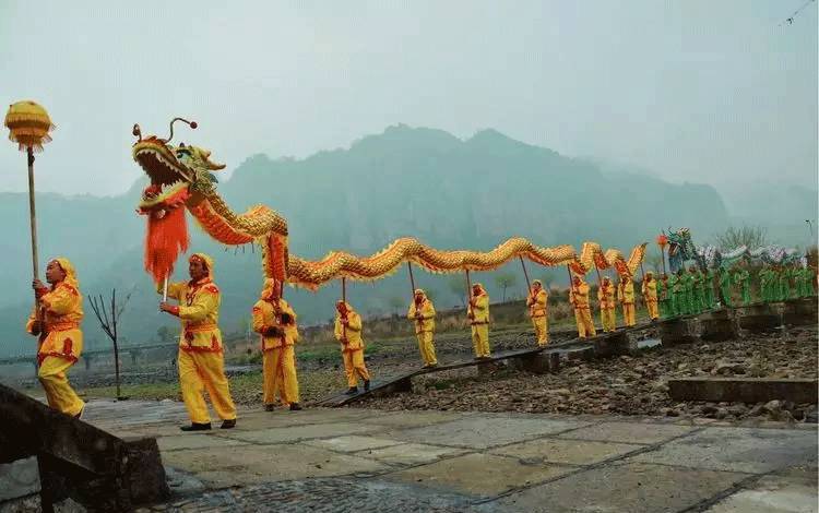 天台人丁荣猫简介图片