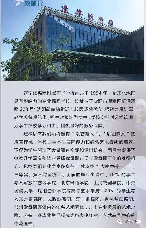 沈阳歌舞团简介图片