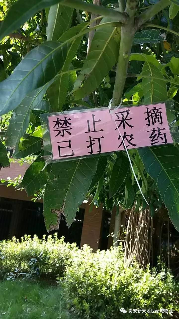 禁止偷摘果实警示语图片