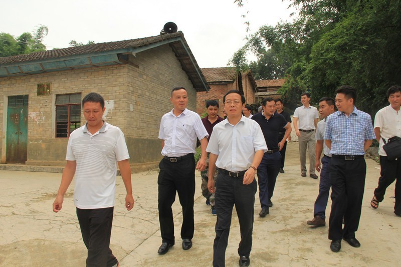 日,县委书记苏畅,县委副书记,县人民政府县长李雄文率县委副书记木伟