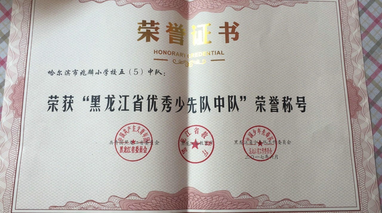 少先队大队喜获黑龙江省优秀大队,哈尔滨市兆麟小学五年五中队喜获