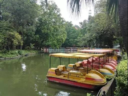 新升級後的越秀公園居然漂亮了這麼多,最大亮點是這個!