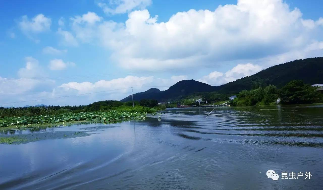 7月16日遊覽下渚湖溼地,體驗十八道彎漂流一日遊