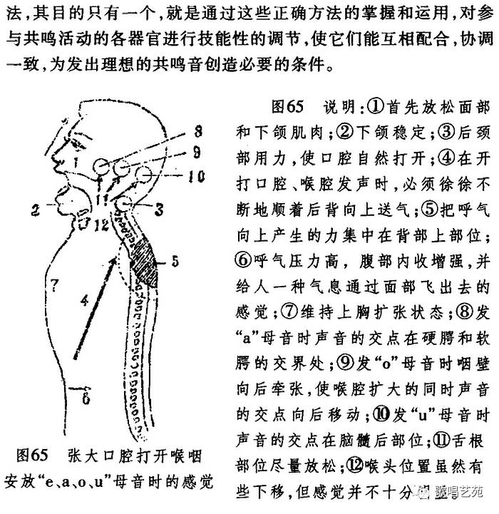 唱歌时腔体打开示意图图片