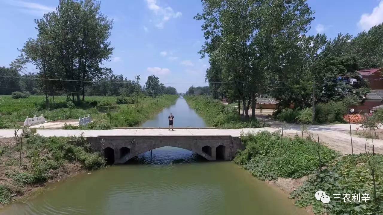 看,这位利辛人眼中的家乡夏日美景(附航拍照片视频)