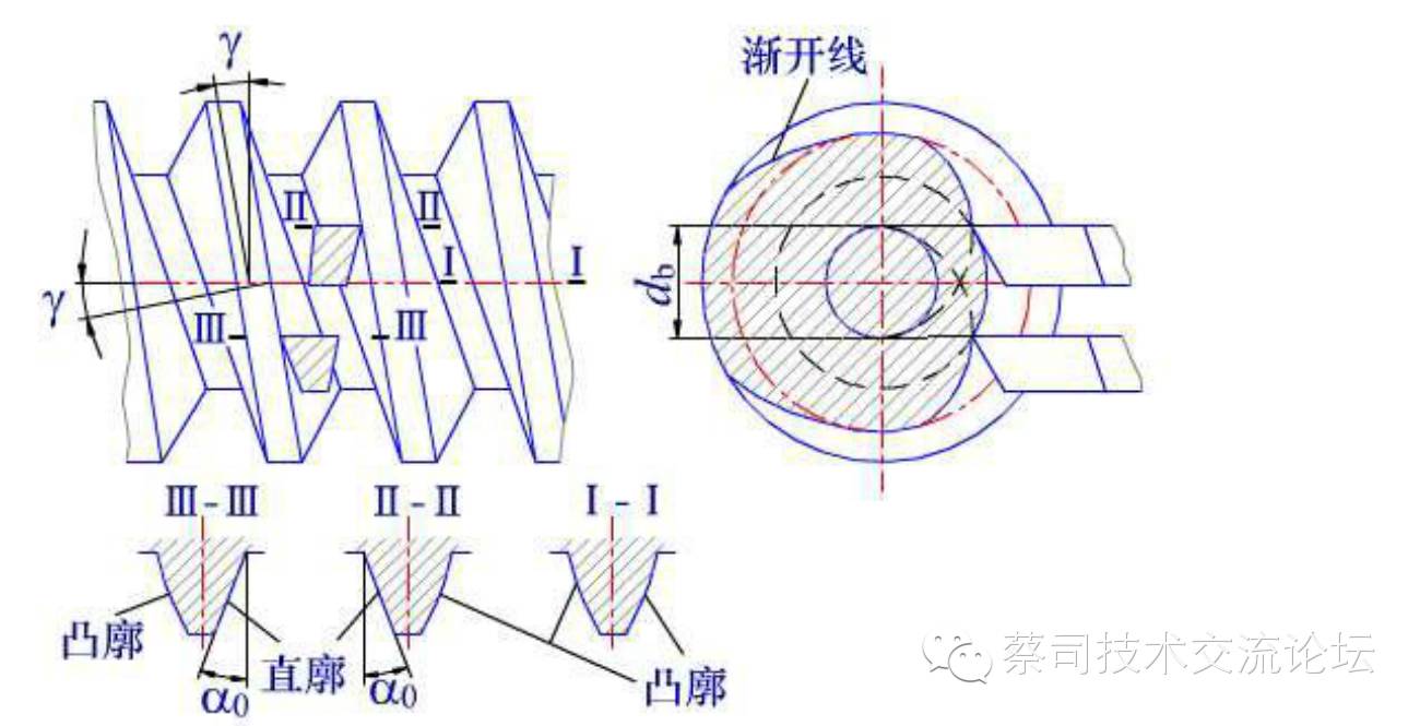 阿基米德蜗杆端面齿廓图片