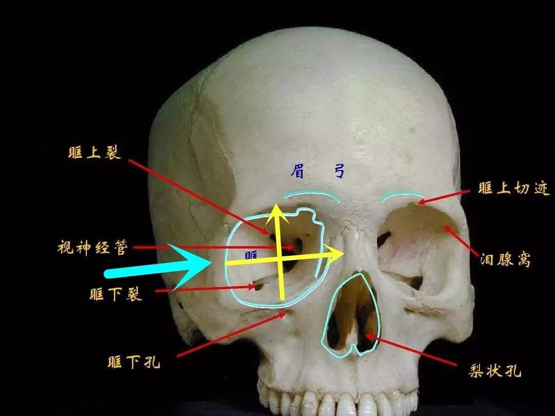 女明星眼睛大比拼