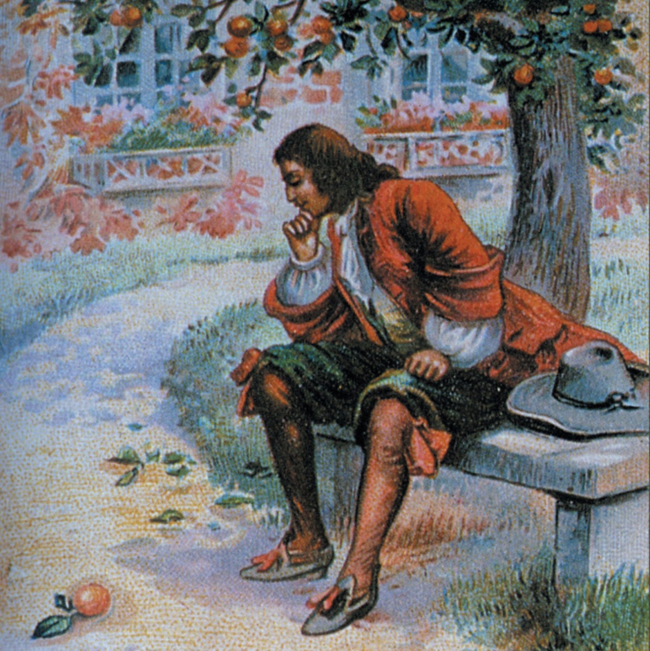牛顿还是剑桥大学圣三一学院三年级的学生,一天傍晚,他坐在苹果树下