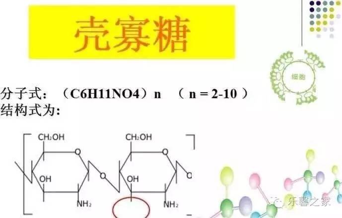 壳寡糖,有妙用,吃它排毒一身轻!