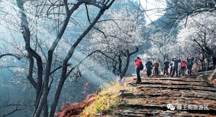 滕王阁地灵之—江西大庾岭梅关