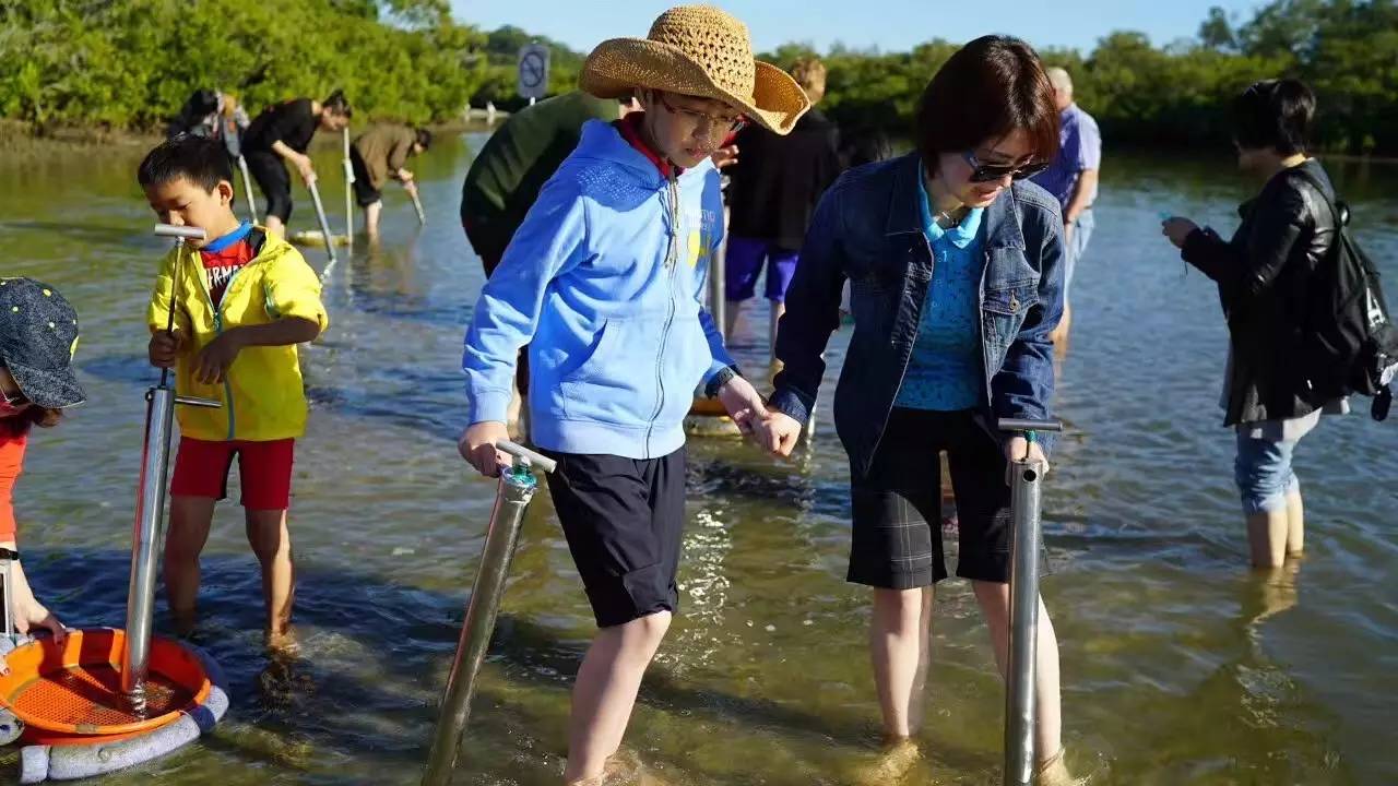 【澳洲親子游學團直播】捉泥蟹,觀座頭鯨