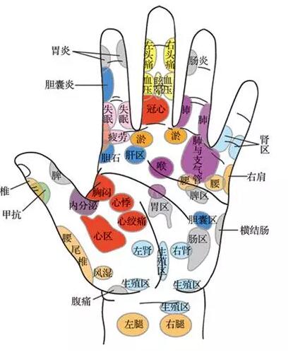 中医手诊培训