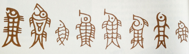 鱼的甲骨文怎么写的图片