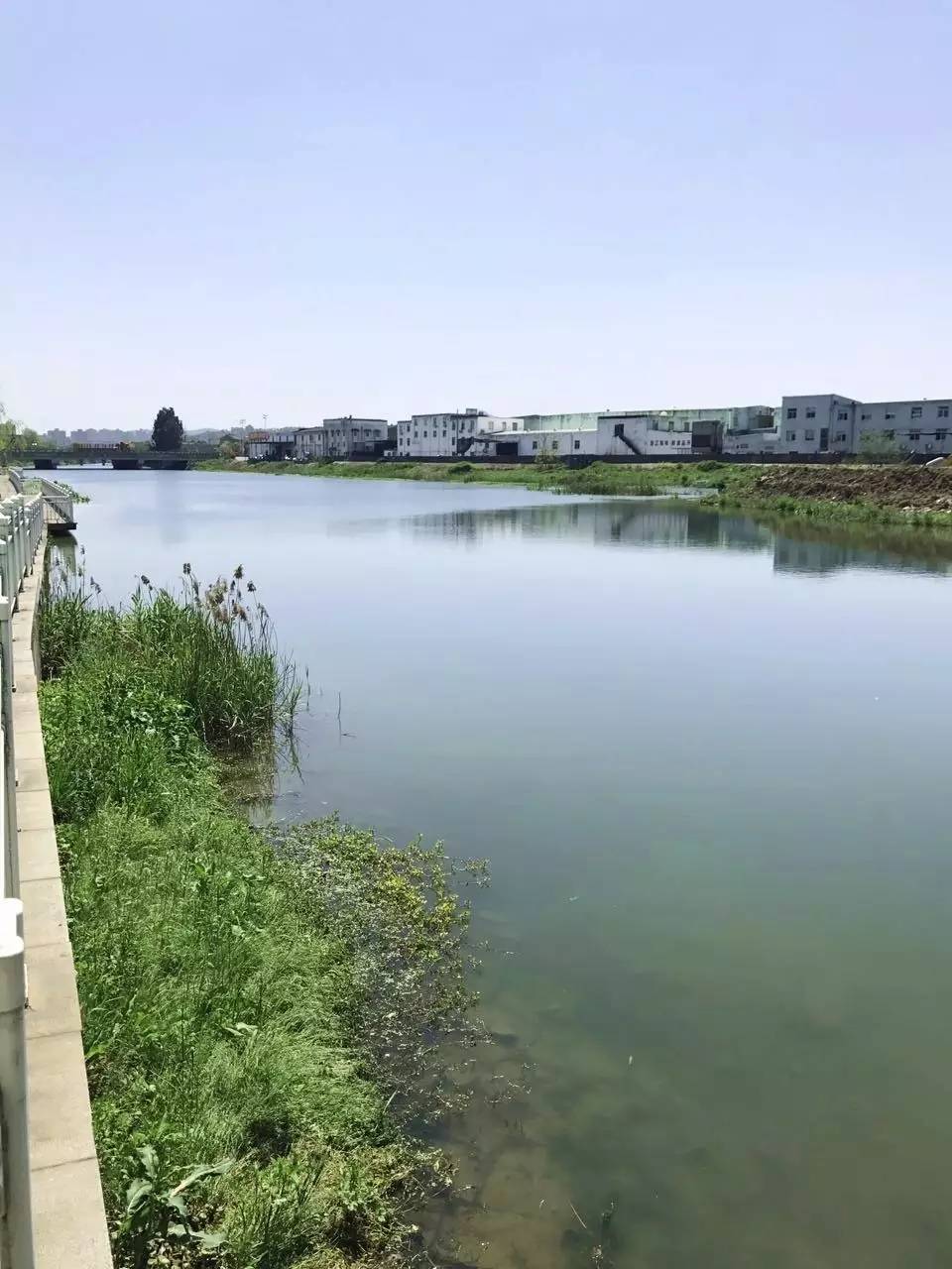 椒江栅浦小学图片