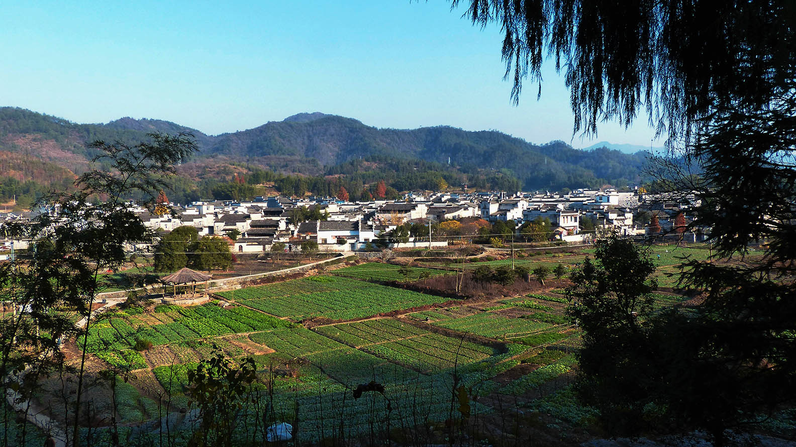 最美的田園人家每走一步都是風景