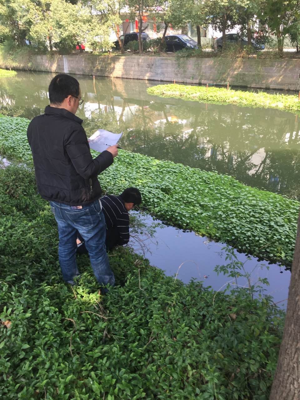 椒江栅浦小学图片