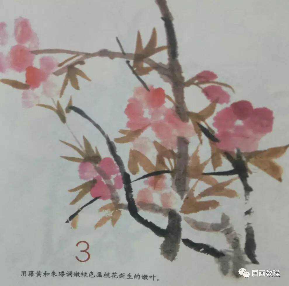 三月桃花水画画教程图片