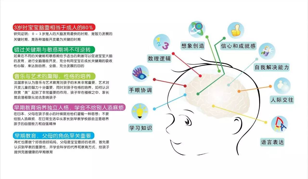 瑞德课程视频 