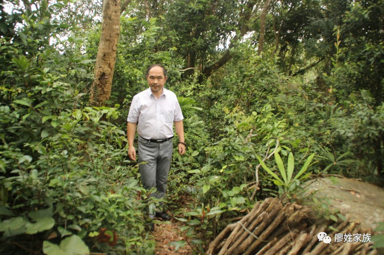 廖纪故里风水宝地第一尖山