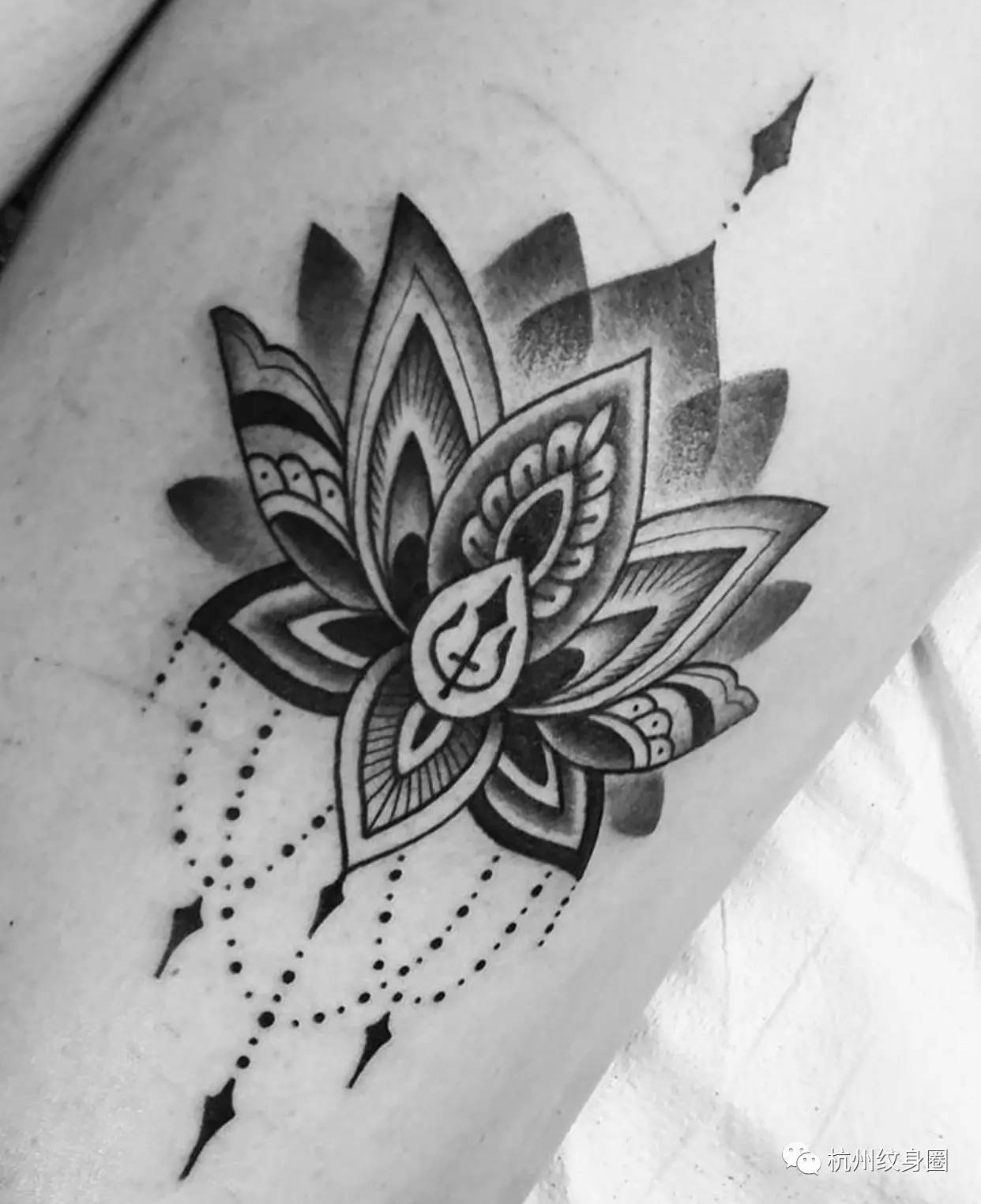 tattoo纹身素材莲花