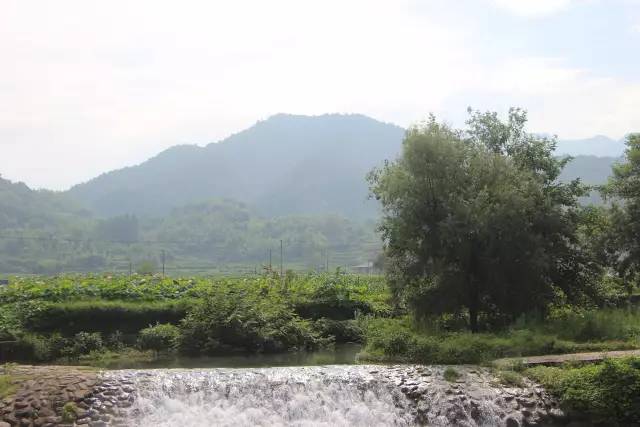 休闲农业示范村徐州市铜山区利国镇西李村