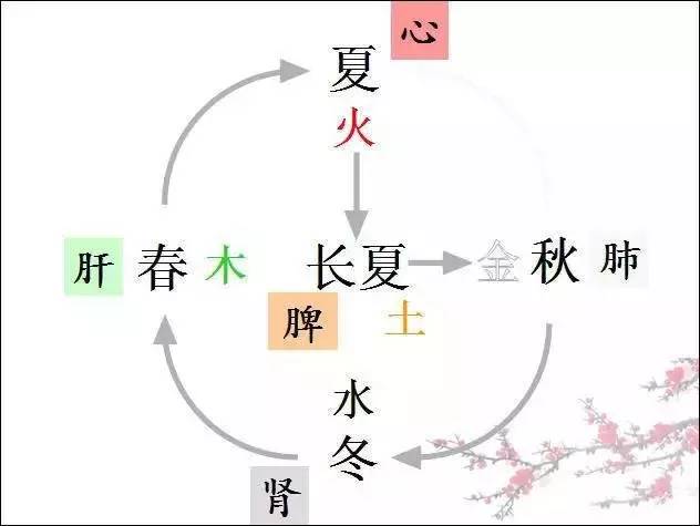 伏天,长夏,红楼梦里的时间"穿越"