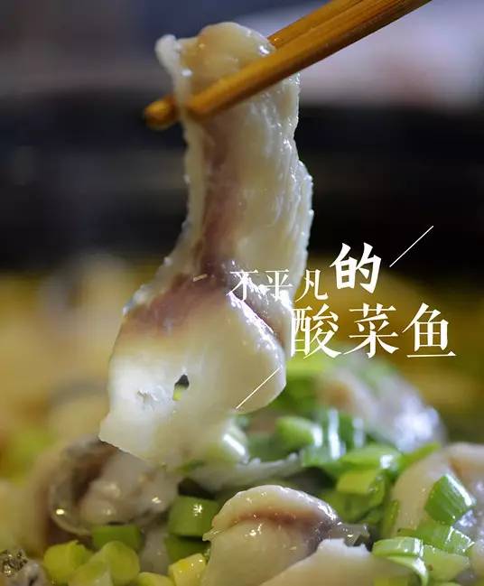 金椒酸菜魚魚全部採用的是黑魚,肉質嫩滑且幾乎沒有魚刺,適合不會吐