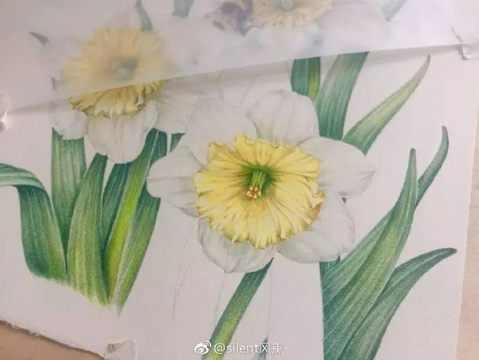 花丛中的小蜜蜂画画图片