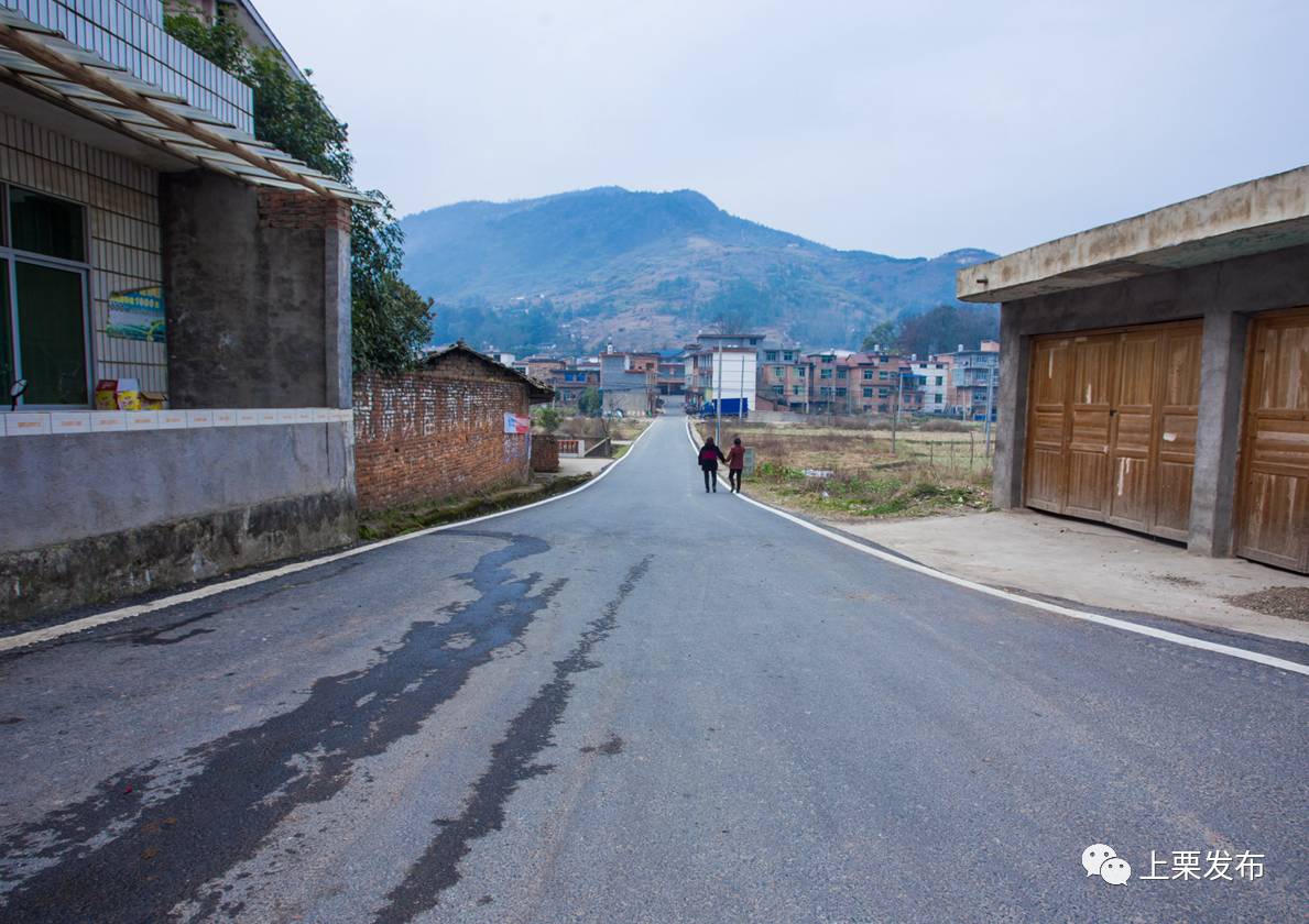 桐木镇蕉源村乡村道路