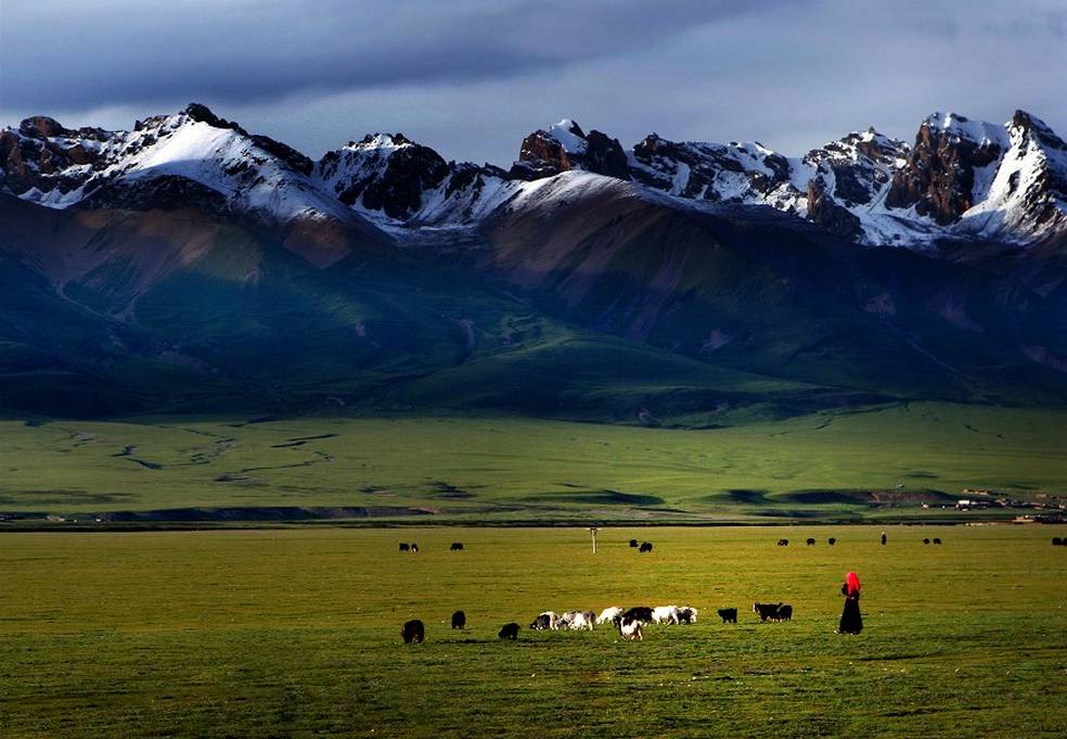 藏北草原是大自然的独创,是当今世界上为数很少的一块未开发的处女地