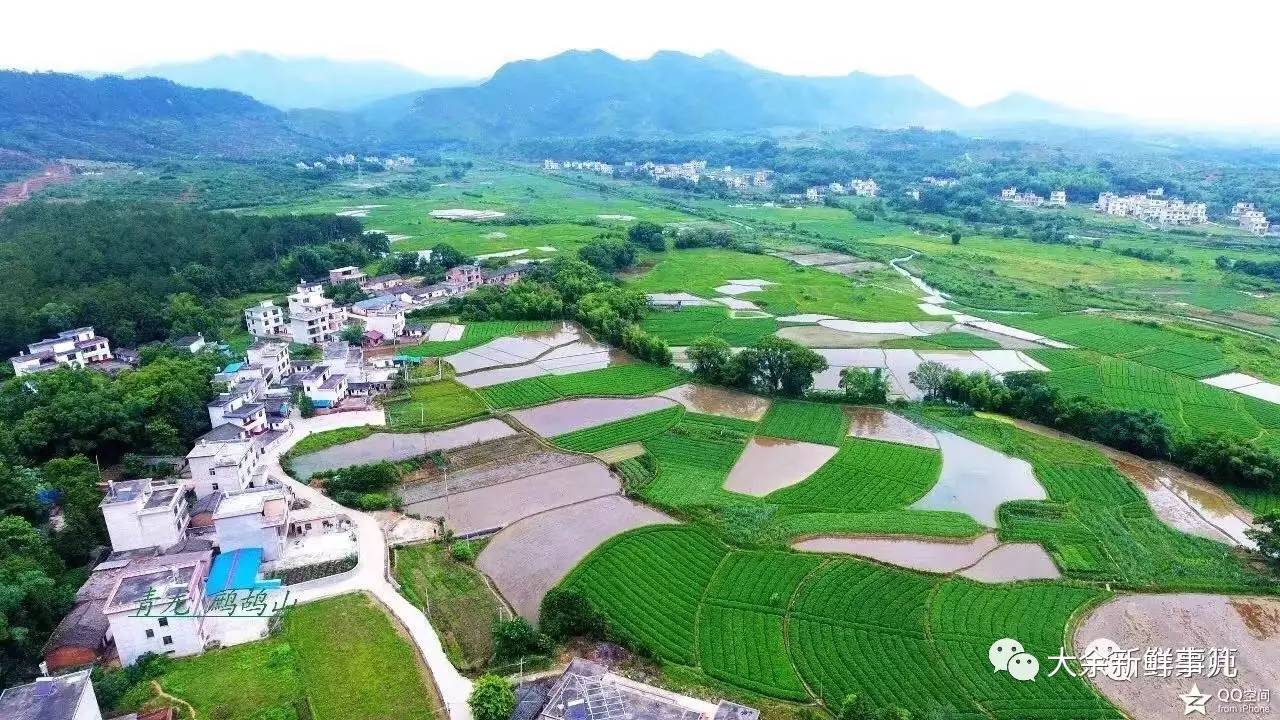 大余县河洞乡图片