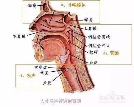 中醫治療咽喉炎的五大方法