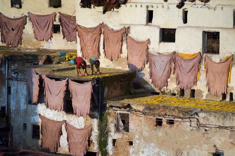摩洛哥——以臭闻名的摩洛哥皮革染坊