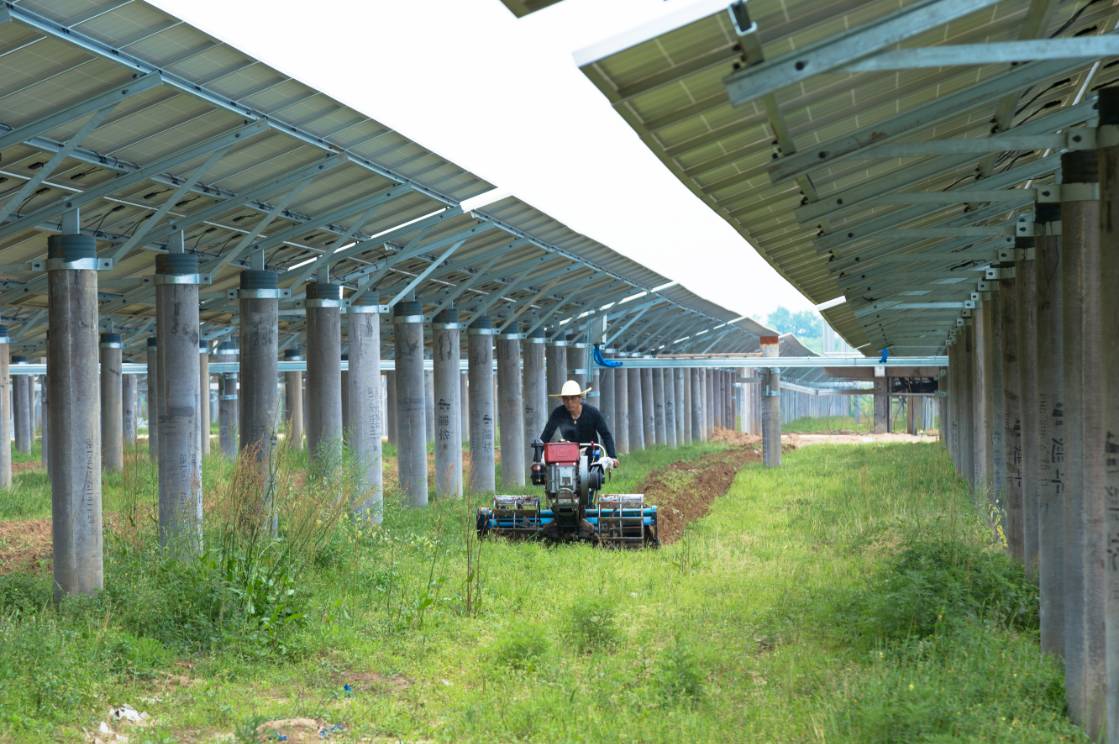 【项目欣赏】晶科能源横峰50mw农光互补光伏电站