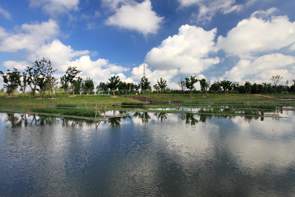 花桥湿地公园图片