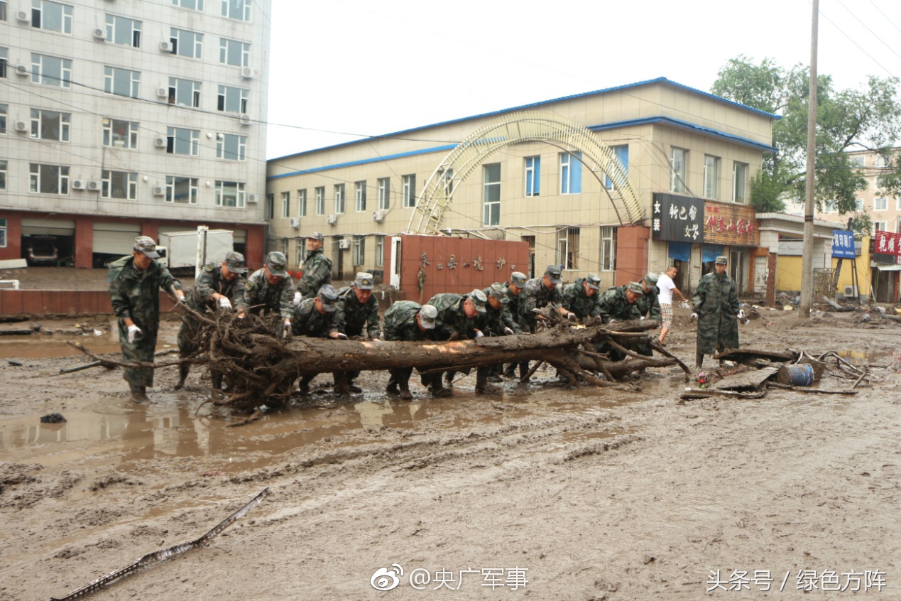 锦州炮兵旅65659图片