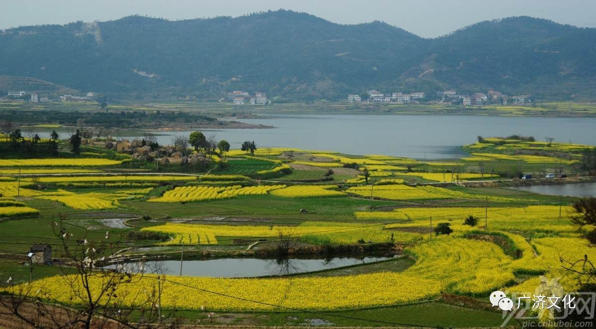 宁波太白湖景区图片