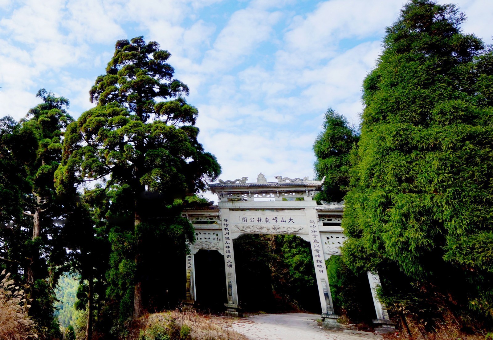 大山峰森林公园凉爽大山峰里的别样夏日莲都篇