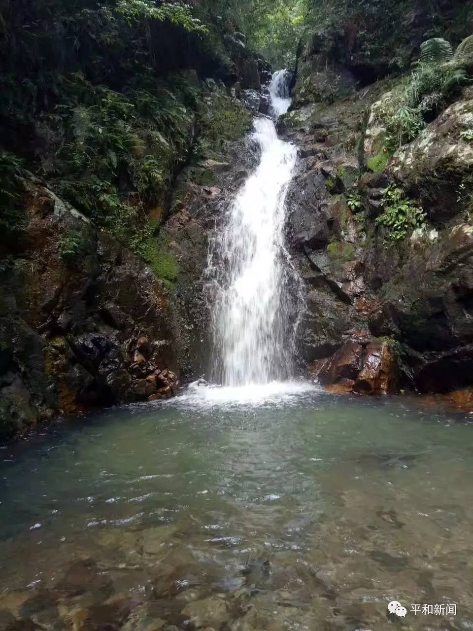 【請您欣賞】平和蘆溪雙峰生態瀑布群——休閒避暑的好去處