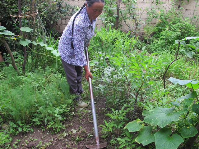 黄开庆家有十余亩水田和十四亩山地,在黄家冲也算一个不小的庄稼摊子.