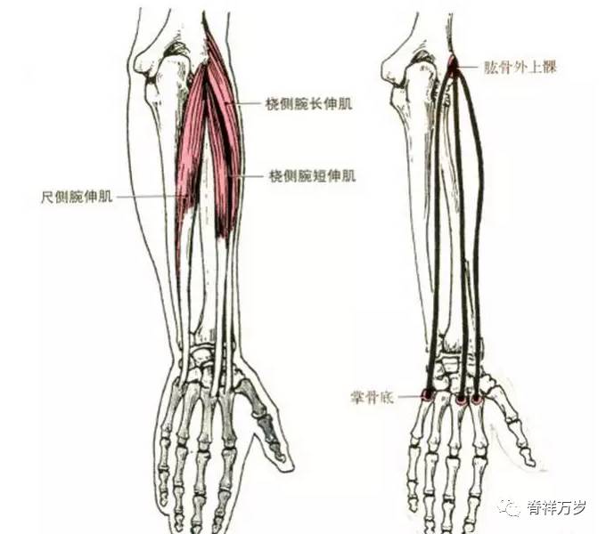 疼痛医学精品必备