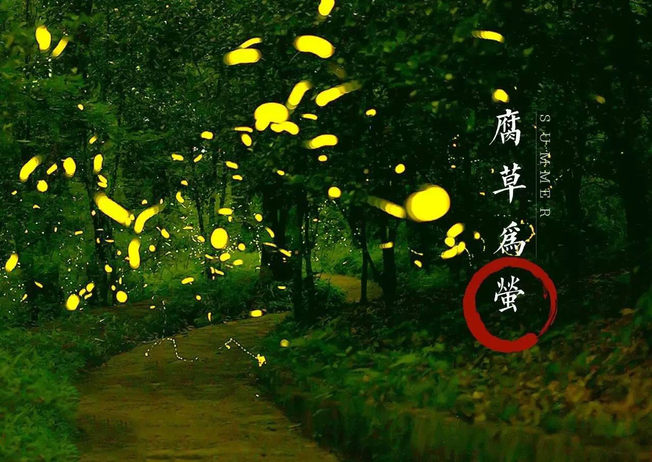 大暑时,萤火虫卵化而出,所以古人认为萤火虫是腐草变成的;第二候是说